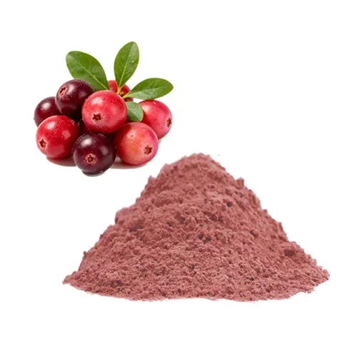 Bio-Cranberrysaft-Pulver