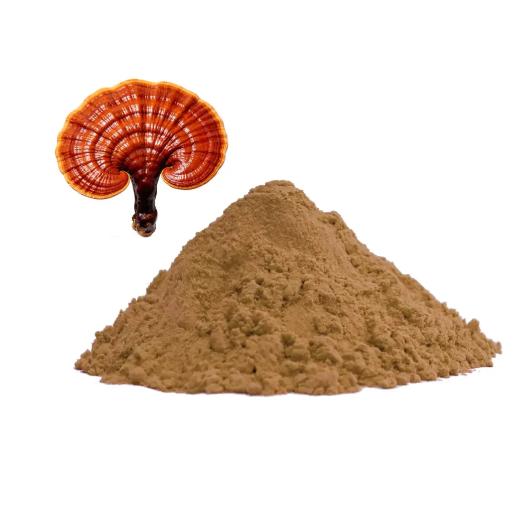 Bio-Reishi-Pulver
