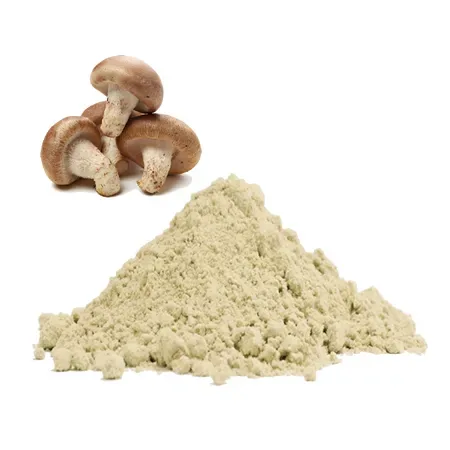 Bio-Shiitake-Pulver